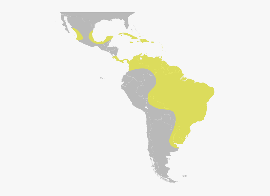 United Central Subregion States Latin America South - Latin America Map Svg, Transparent Clipart