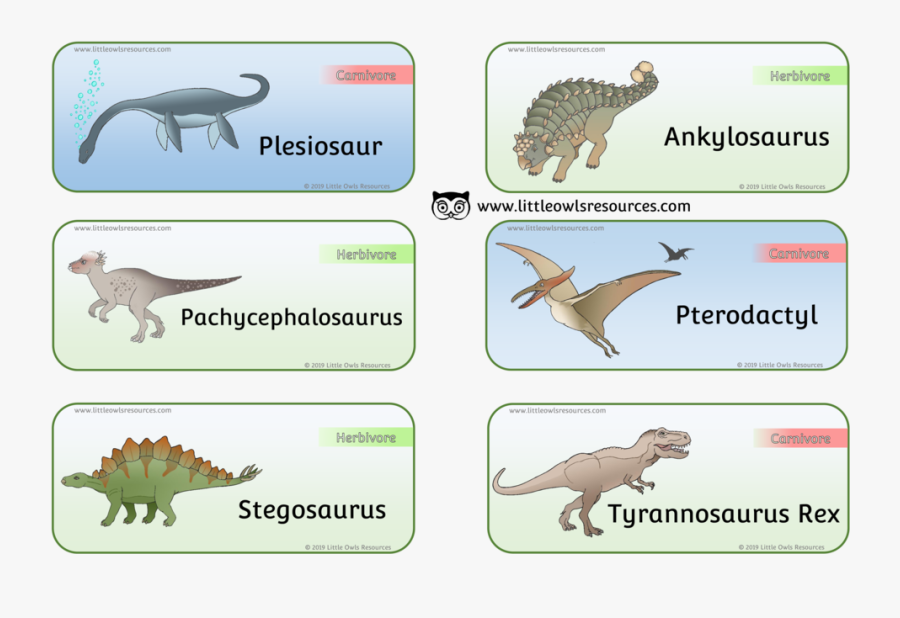 Dinosaur Word Cards - Dinosaur Sorting Herbivores And Carnivores, Transparent Clipart