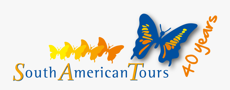 Logo Del America - South American Tours Logo, Transparent Clipart