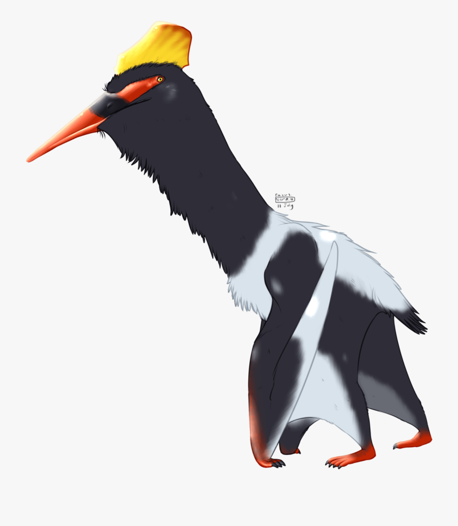 Waterfowl, Transparent Clipart