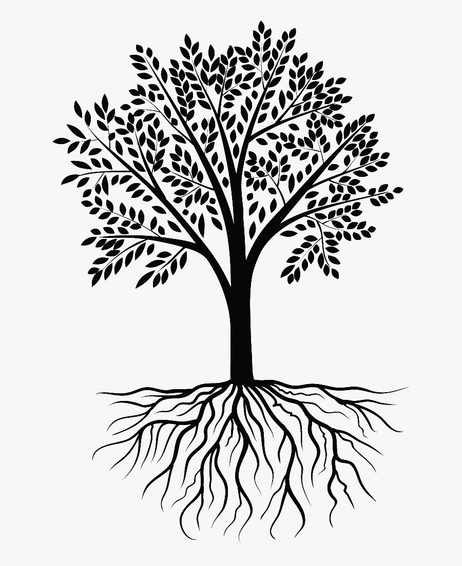 Nubrand Websites - Tree Root Vector Png, Transparent Clipart