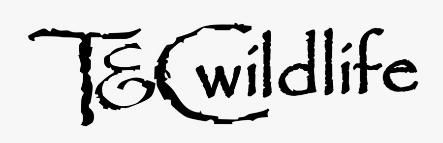 T And C Wildlife, Transparent Clipart