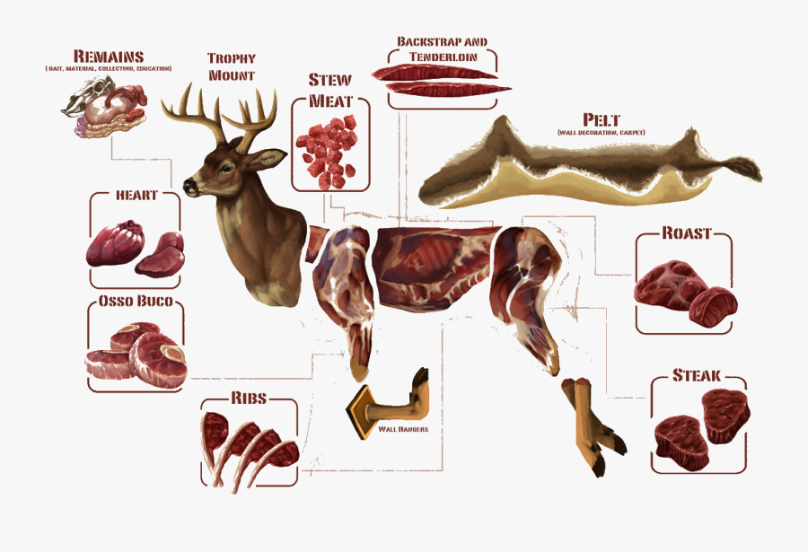 Deer Processing, Transparent Clipart