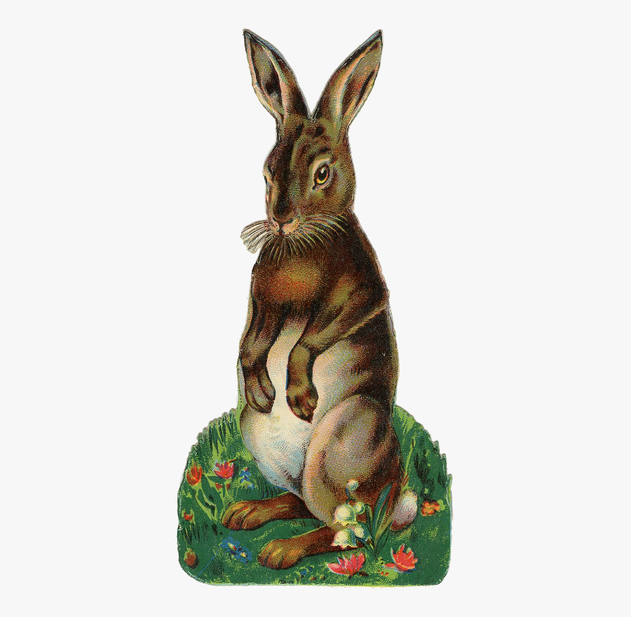 Antique Hare Illustration Rabbit Easter Bunny Clipart - Vintage Easter Hare, Transparent Clipart
