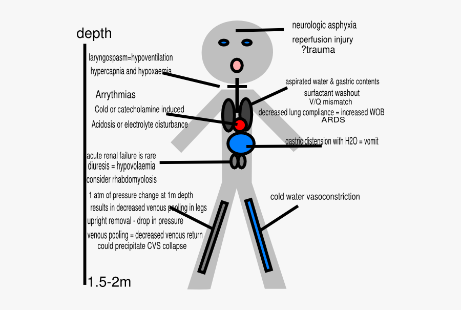 Pathophysiology Man, Transparent Clipart