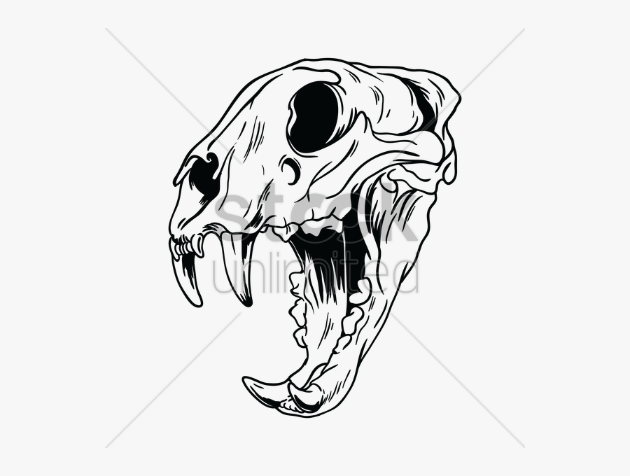 Collection Of Free Gangster Drawing Skull Download - Animal Skull Drawing, Transparent Clipart