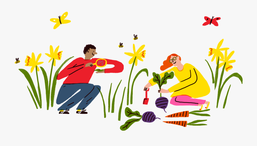 Clip Art, Transparent Clipart