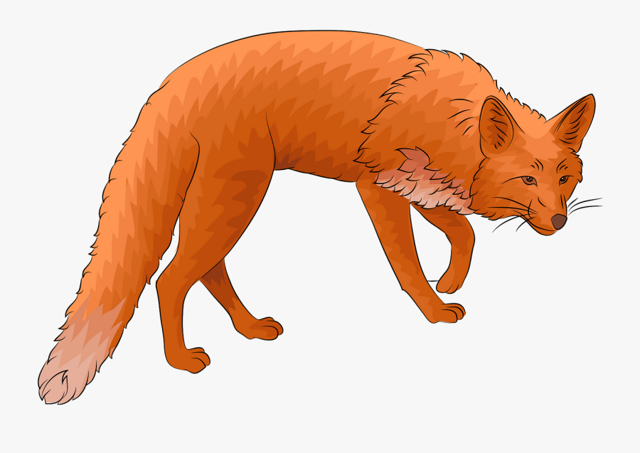 Cat Yawns, Transparent Clipart