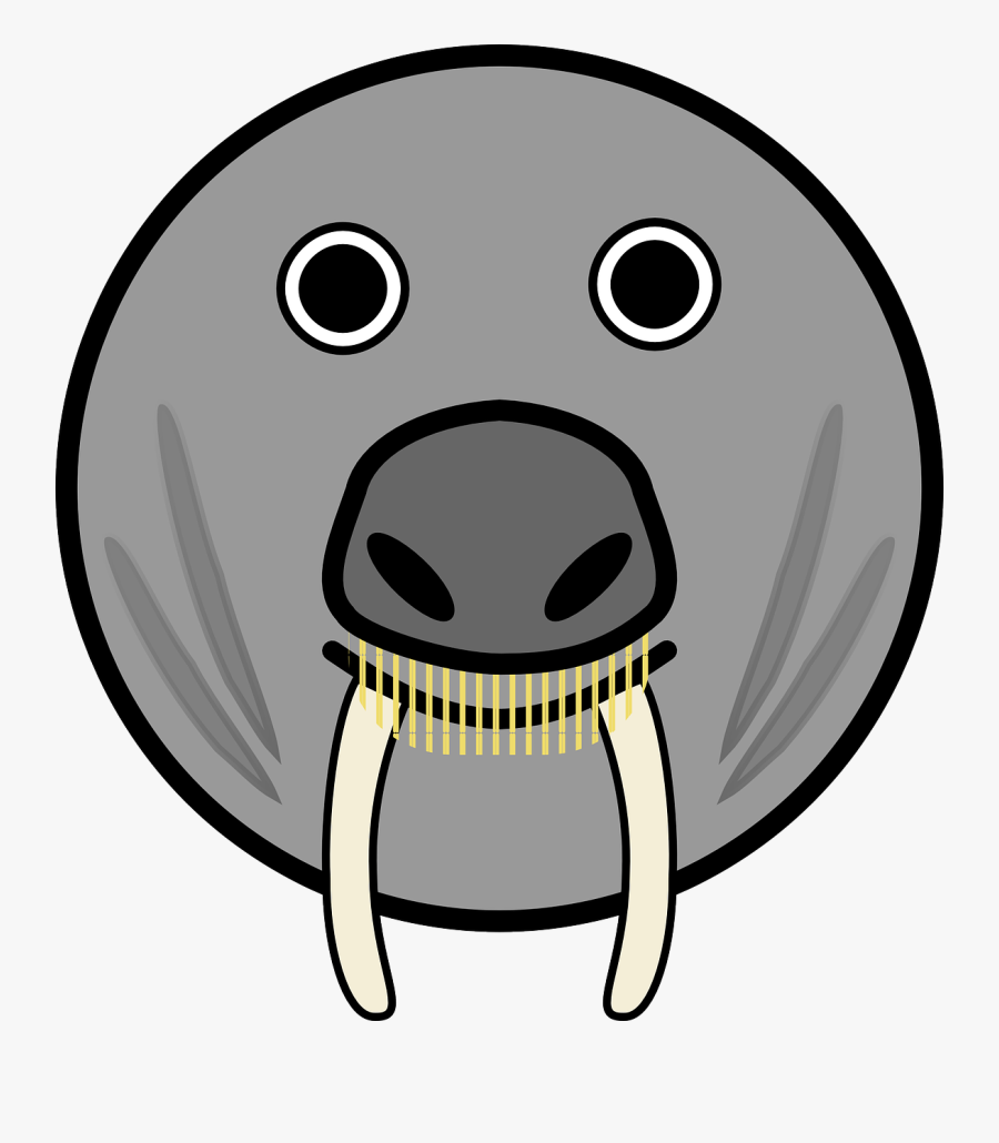 Round Animal Face Clipart, Transparent Clipart