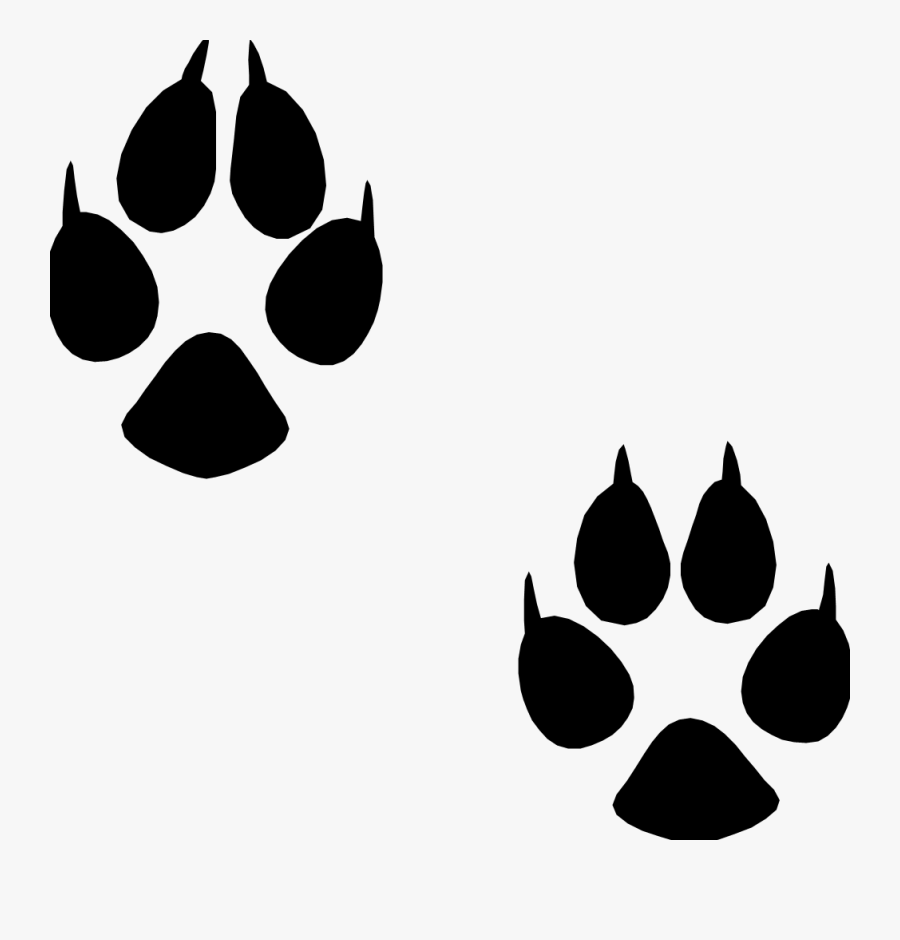 Clip Art Footprint Animals - Cartoon Animal Tracks Png, Transparent Clipart