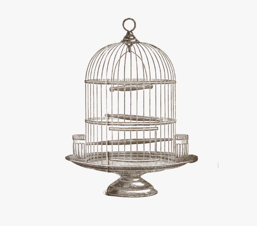 Clip Art Bird Cage Sketch - Vintage Bird Cage Art, Transparent Clipart