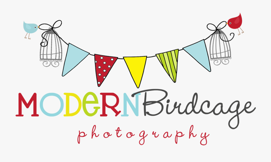 Modern Birdcage Photography - Besties, Transparent Clipart