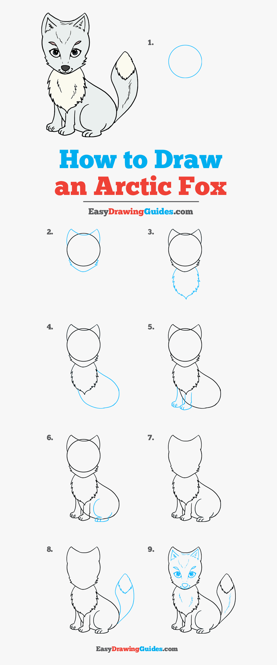 Drawing Easy Arctic Fox, Transparent Clipart