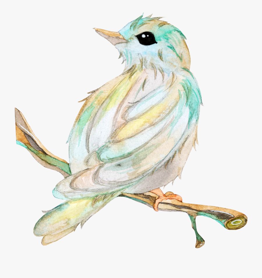 Transparent Chickadee Clipart - Bird, Transparent Clipart