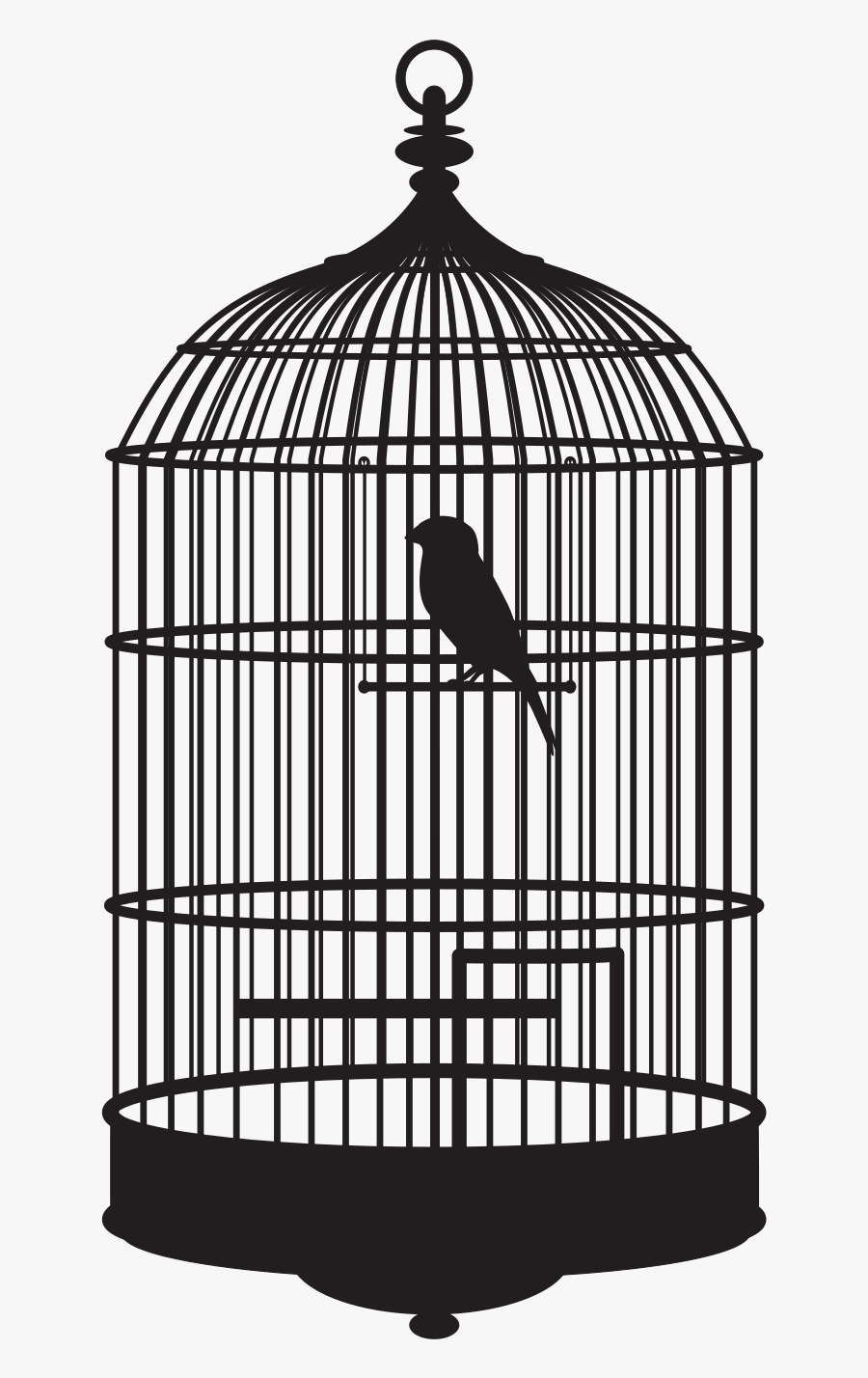 Bird In A Cage - Bird In Cage Gif, Transparent Clipart