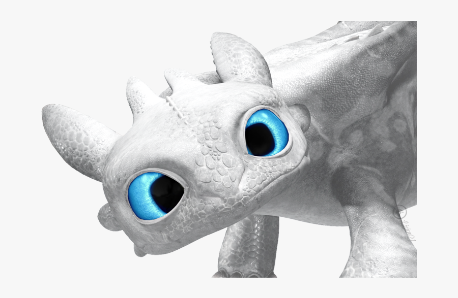 Download Httyd White Night Fury Clipart How To Train - Httyd White Night Fury, Transparent Clipart