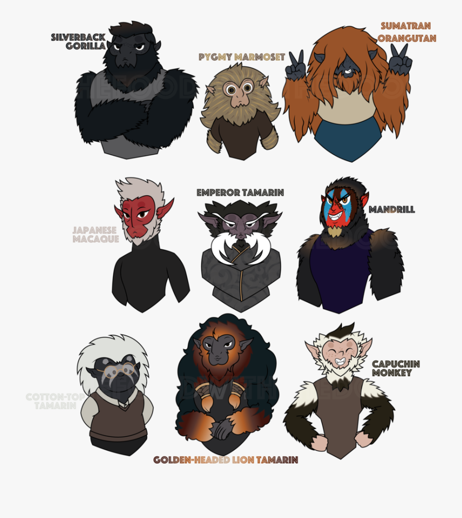 Transparent Silverback Gorilla Png - Star Wars Fem Devaronian, Transparent Clipart