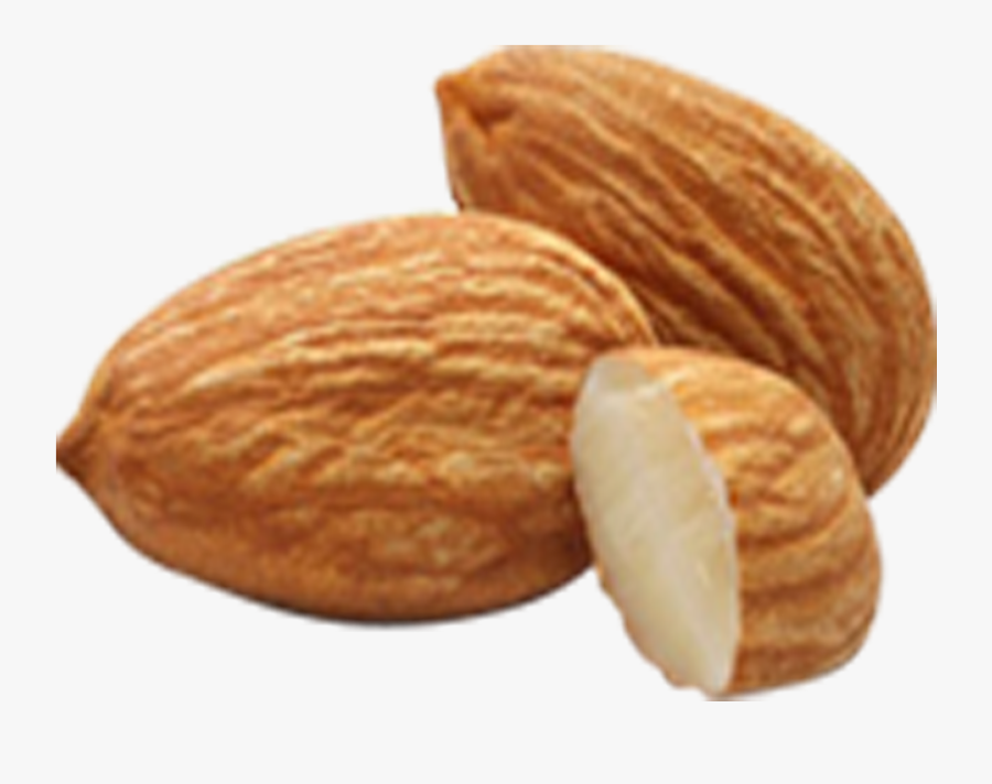 Almond Amygdalin Nut Apricot Kernel Seed - Almond In Png, Transparent Clipart