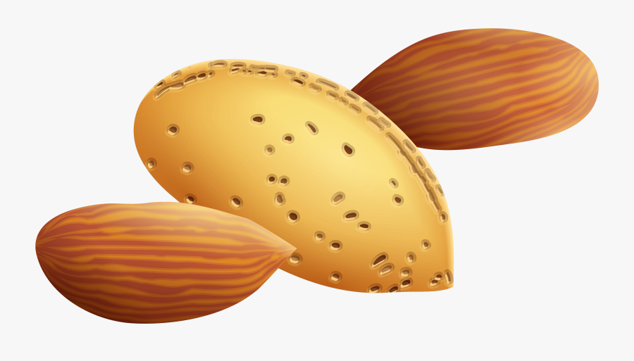 Nuts Clipart - Almond, Transparent Clipart