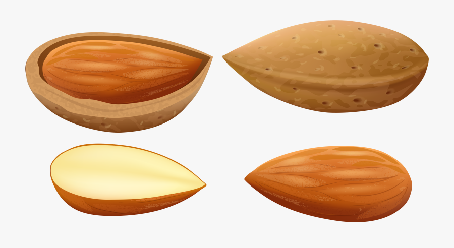 Almonds Png Clip Art, Transparent Clipart