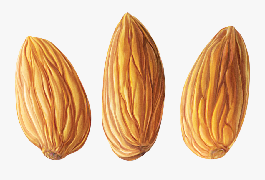 Almond Png Clipart - Миндаль Пнг, Transparent Clipart