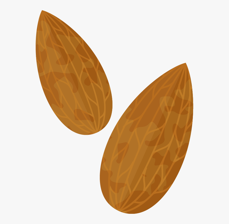 Almond Png Clipart Image - Earrings, Transparent Clipart