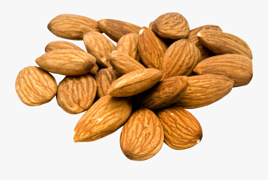 Almond Portable Network Graphics Clip Art Transparency - Transparent Background Almond Clipart, Transparent Clipart