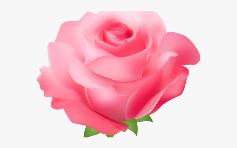Almond Clipart Transparent - Transparent Pink Roses Clipart, Transparent Clipart