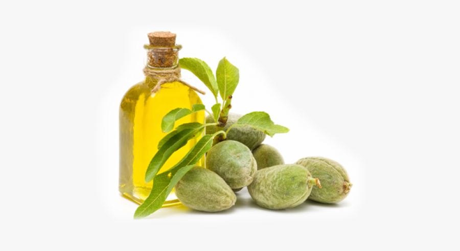 Almond Clipart Transparent - Sweet Almond Oil Transparent, Transparent Clipart