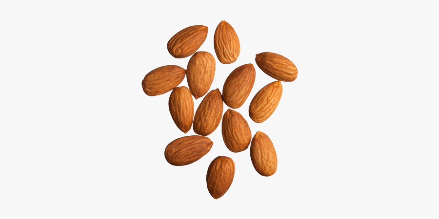 Almond Png Transparent Images - Marcona Almonds Vs Almonds, Transparent Clipart