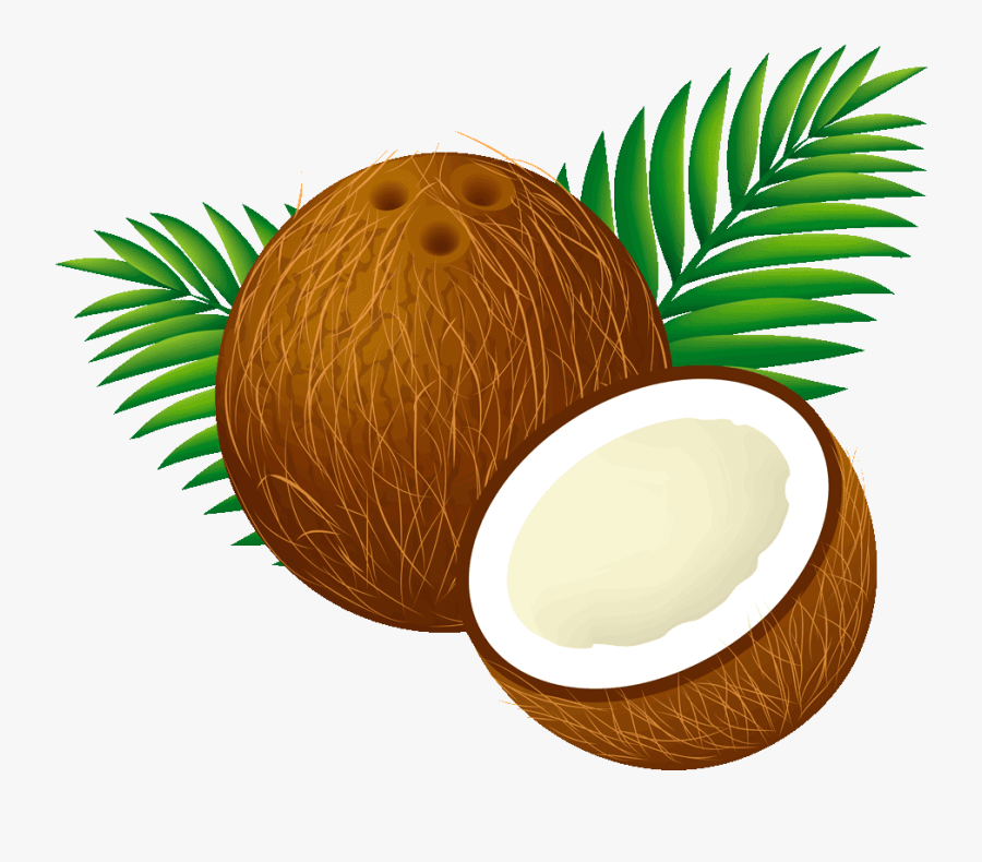 Coconut Leaf Clip Art - Clip Art Coconut Png, Transparent Clipart