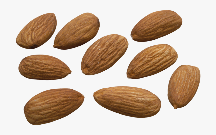 Almond Png - Миндаль Пнг, Transparent Clipart