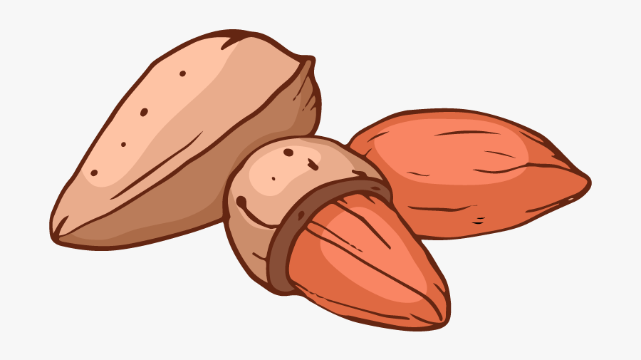 Mandel - Almond, Transparent Clipart