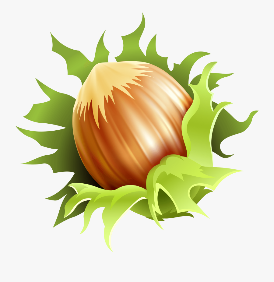 Hazelnut Png Clipart Image, Transparent Clipart