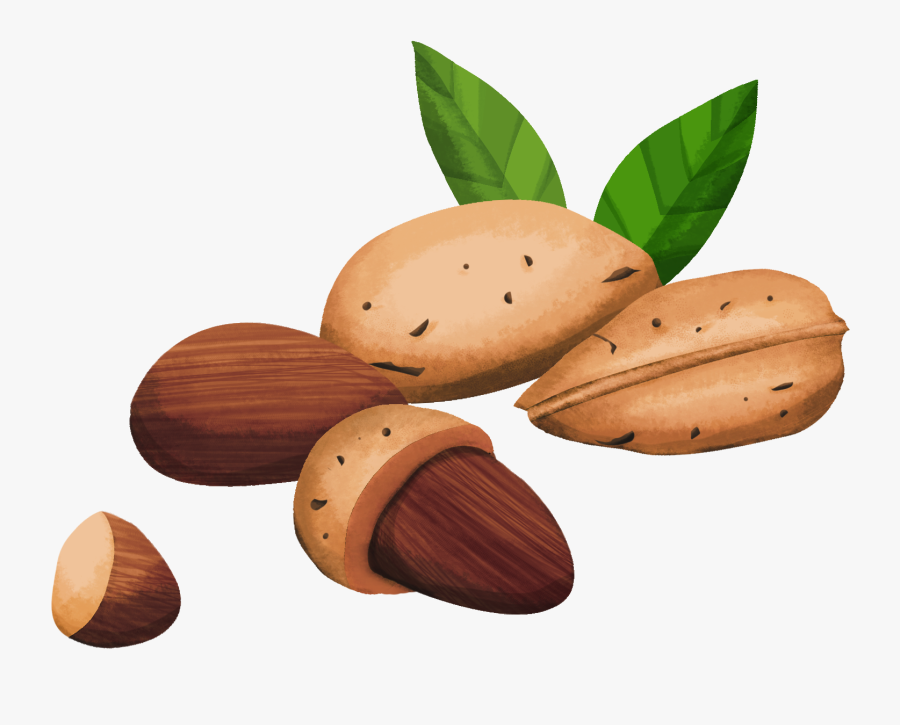 Chocolate, Transparent Clipart