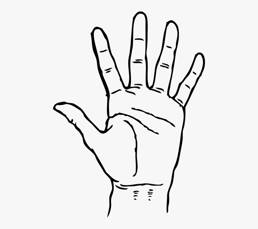 Transparent Human Hand Png - Hand Clipart Black And White, Transparent Clipart
