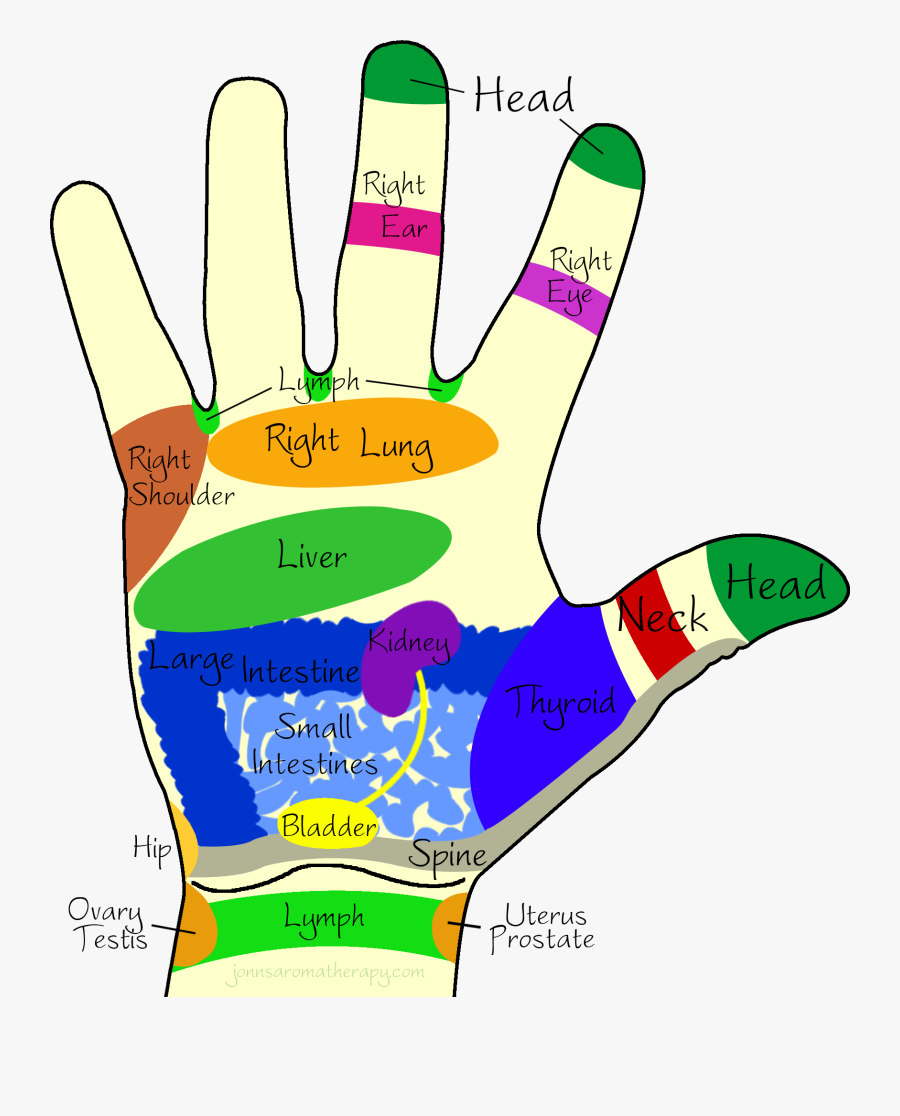 Transparent Left Hand Clipart - Hand Point Massage, Transparent Clipart