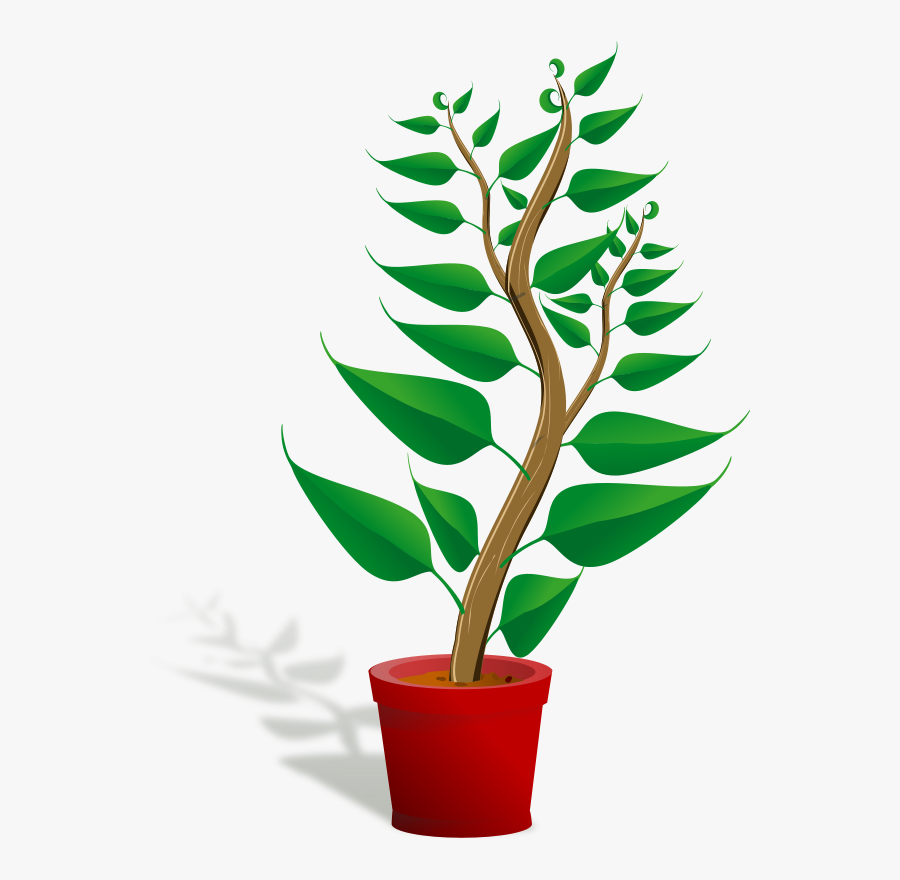 Green Tall Plant In Its Pot - Plant Clipart, Transparent Clipart