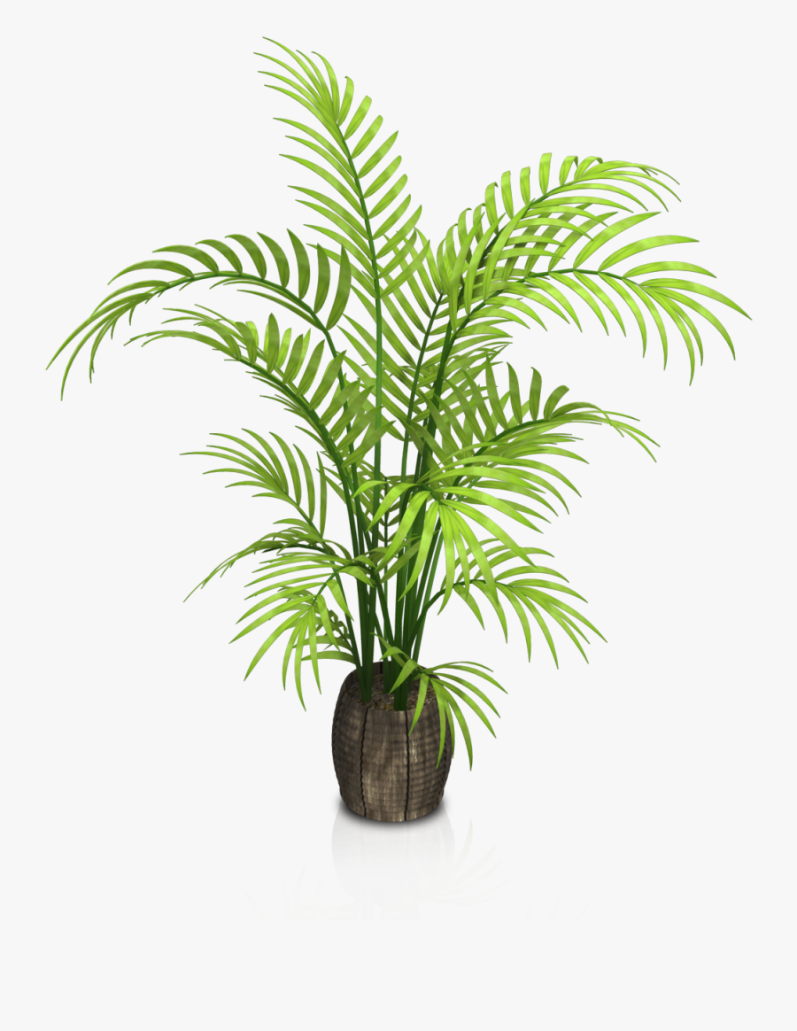 Indoor Potted Plants Png Download - Transparent Background Plant Png, Transparent Clipart