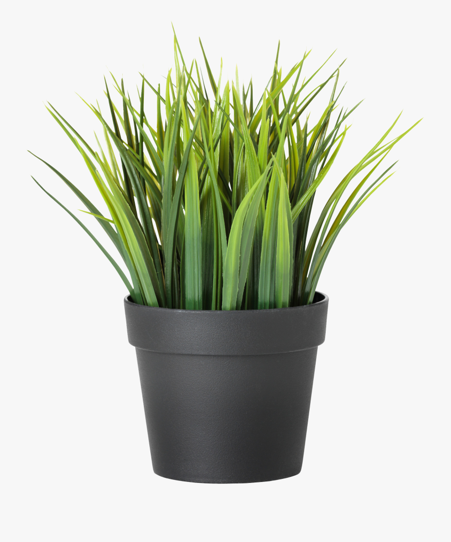 Transparent Plants Png - Ikea Artificial Plant, Transparent Clipart