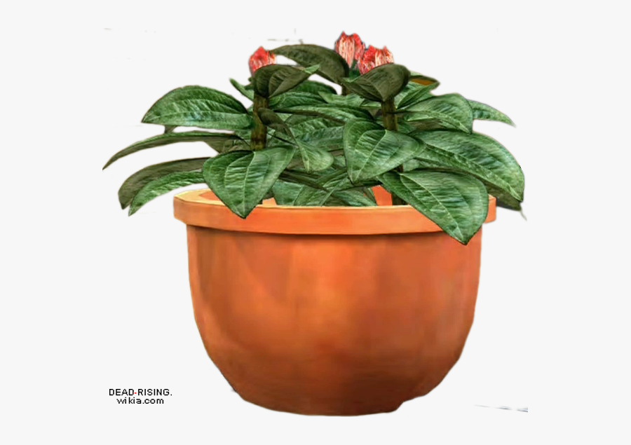 Transparent Potted Plants Clipart - Plant In A Bucket Png, Transparent Clipart
