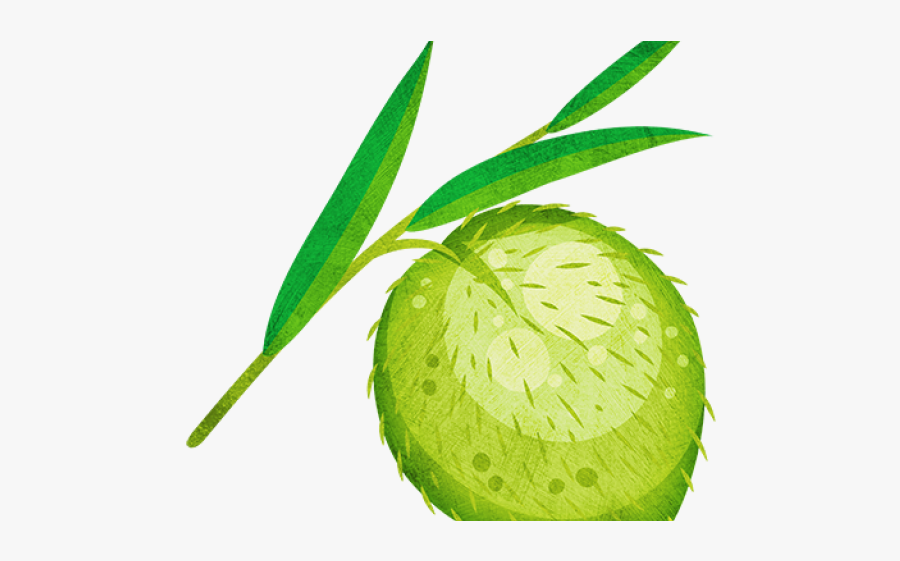 Potted Plants Clipart Little Plant - Fruit, Transparent Clipart