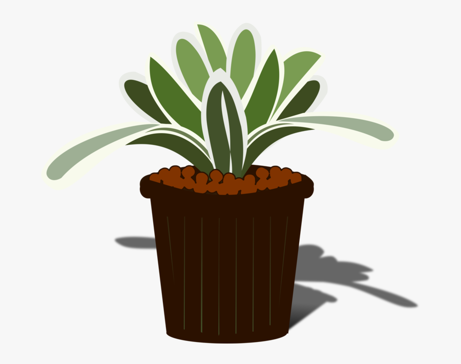 Plant,flowerpot,tree, Transparent Clipart