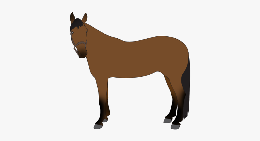 Sorrel, Transparent Clipart