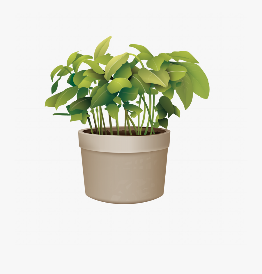 Pictures Of Potted Plants Best Of Flowerpot Plant Vector - Plant In Pot Png, Transparent Clipart