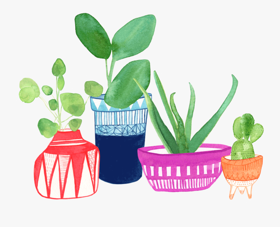 Plant Pots Succulent Clipart - House Plant Painting, Transparent Clipart