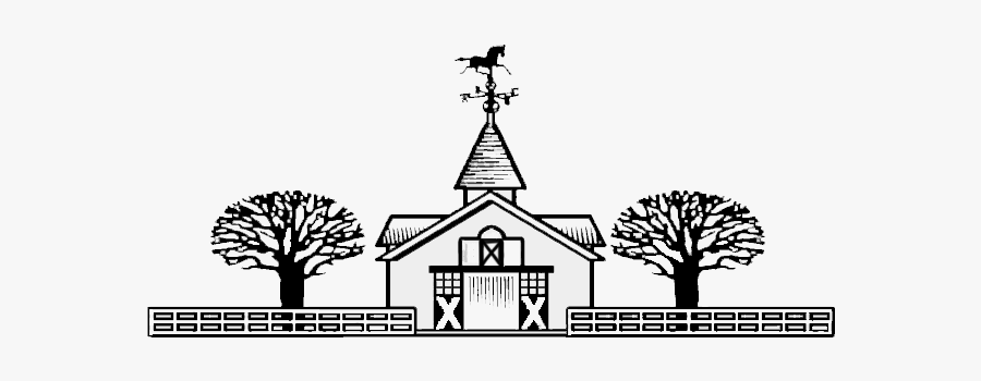 Tree, Transparent Clipart