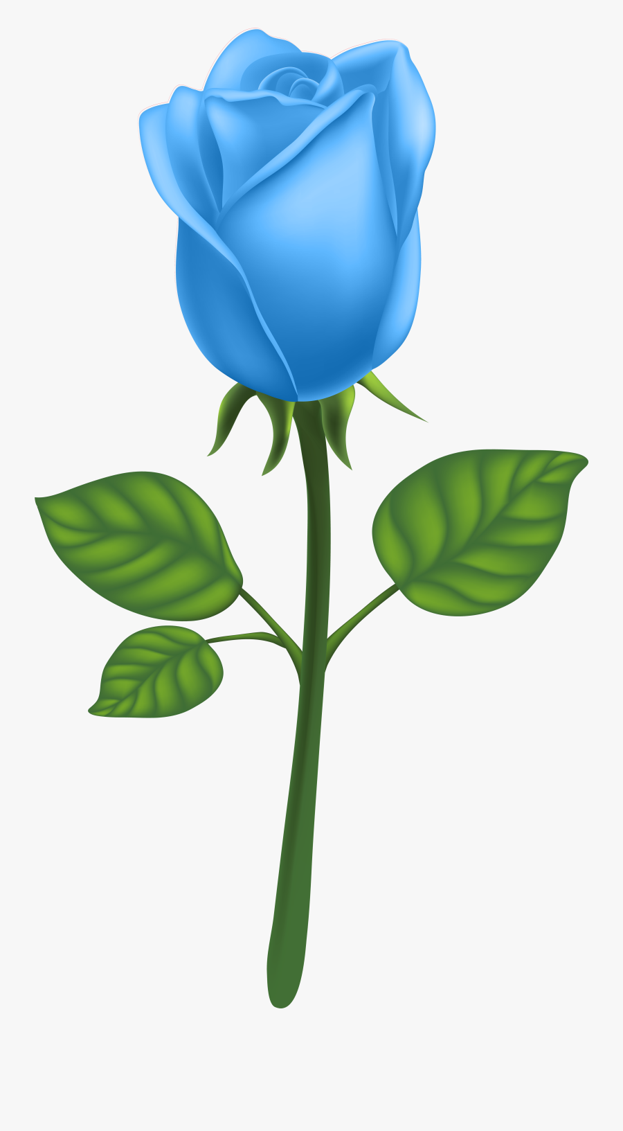Garden Roses Adobe Illustrator Clip Art Blue Ⓒ, Transparent Clipart
