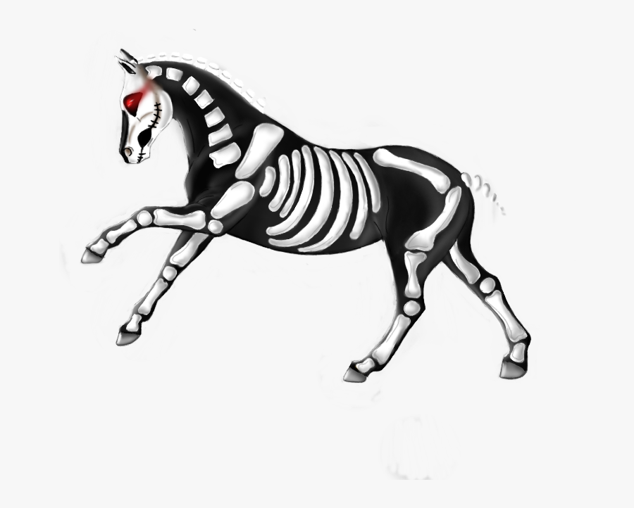 Sso Skeleton Horse, Transparent Clipart