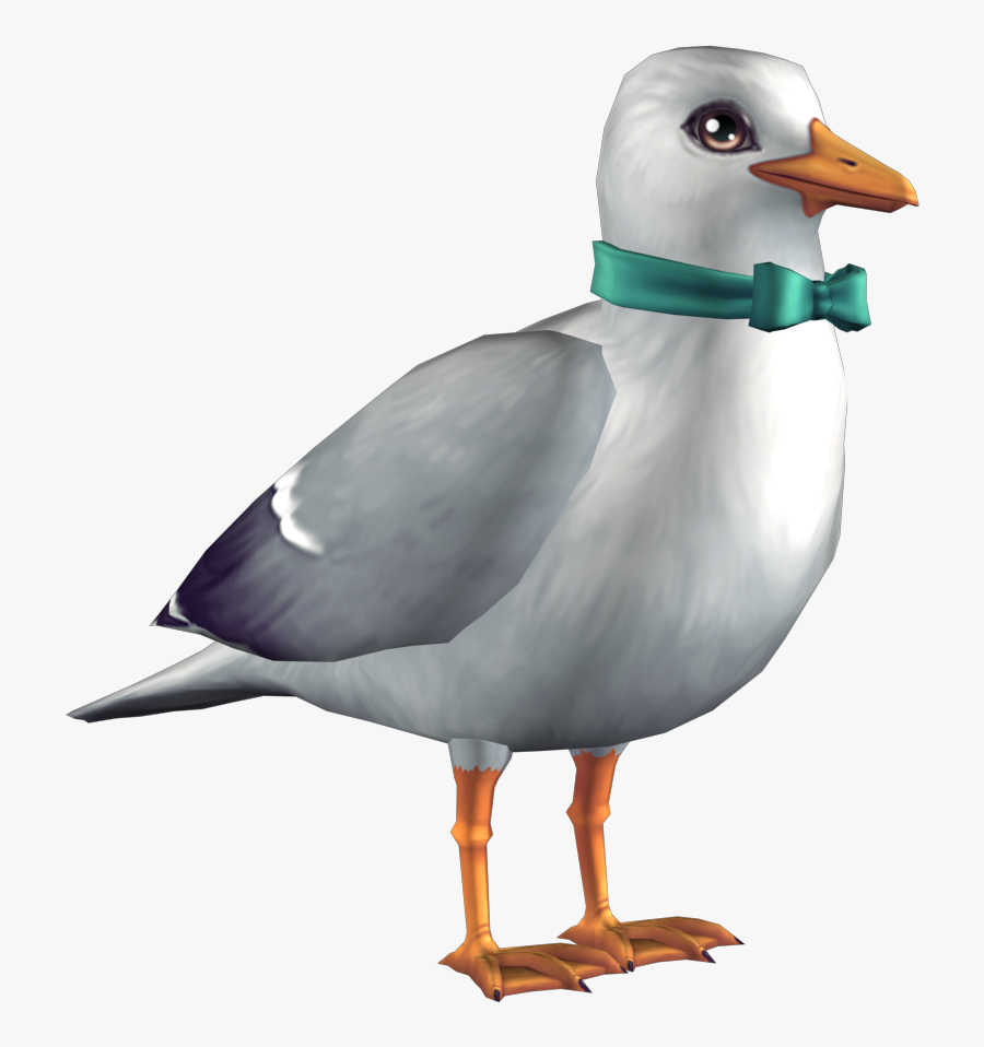 European Herring Gull, Transparent Clipart